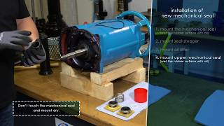 How to replace the mechanical seal [upl. by Themis768]