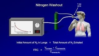 Meet the lungs  Respiratory system physiology  NCLEXRN  Khan Academy [upl. by Burroughs758]