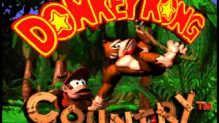 Donkey Kong Country OST Super Nintendo  Track 0123  Theme [upl. by Brodench901]