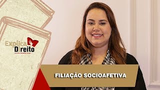 Explica Direito Filiação Socioafetiva  2019 [upl. by Alroy]