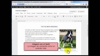 Insertar imágenes en Google Docs [upl. by Werda]