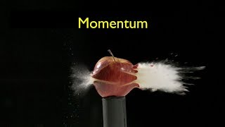 What Is Momentum [upl. by Nylde838]