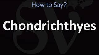 How to Pronounce Chondrichthyes CORRECTLY [upl. by Arrait791]