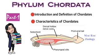 Part1 Introduction and Definition of ChordatesCharacteristics of ChordatesMsc Bsc Zoology NEET [upl. by Assennej]