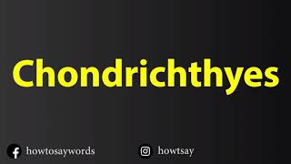 How To Pronounce Chondrichthyes [upl. by Ellenaj]