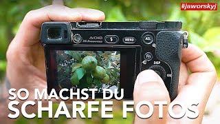 SCHARF STELLEN 📷 So FOKUSSIERST du RICHTIG  Fotografieren lernen [upl. by Ordisi]