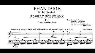 Schumann Fantasie in C Op17 Andsnes [upl. by Platus]