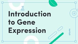 Y1112 Biology Introduction to Gene Expression [upl. by Latif713]