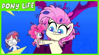 Pony Life  NEW  The Missing Animals in the Forest  MLP Pony Life [upl. by Siravat]