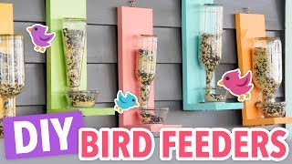 DIY Bird Feeders [upl. by Nahgeam246]